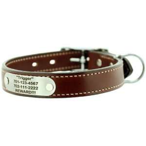 DogIDs Signature Leather Standard Collar with Rivet On Name Plate   1 
