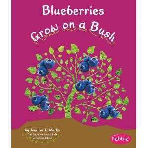  Blueberries Grow on a Bush (Pebble Books) [Library Binding 