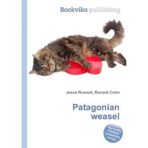  Patagonian weasel Ronald Cohn Jesse Russell Books