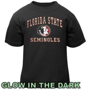  Florida State Seminole Shirt  Florida State Seminoles 