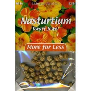    Plus Pack   Nasturtium   Dwarf Jewel Mix Patio, Lawn & Garden