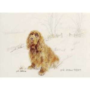 Sussex Spaniel Limited Edition Print and Signed by the Artist Gill 