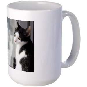  Cats Haven Rescue 383 Spot Pets Large Mug by  