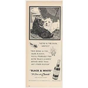  1949 Blackie Whitey Dogs at Beach Club Black & White Print 