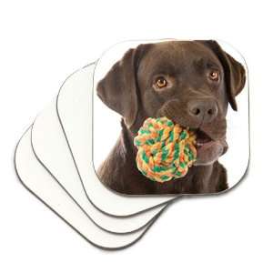  Chocolate Lab Labrador Retriever Dog with Toy Coasters 