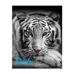  White Tiger Family Size Towel: Kitchen & Dining