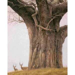  Robert Bateman   Baobab Tree and Impala