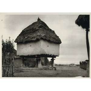  1937 Farm Granary Thatched Roof Iran Architecture 