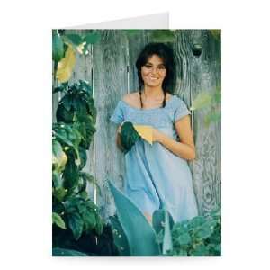  Jacqueline Bisset   Greeting Card (Pack of 2)   7x5 inch 