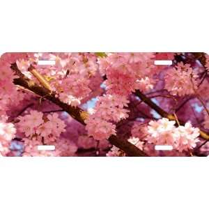  Rikki KnightTM Pink Blosoom Tree Cool Novelty License 