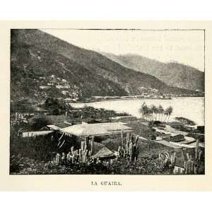  1901 Halftone Print La Guaira City Vargas Landscape Cactus 