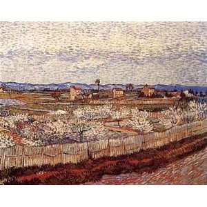  La Crau with Peach Trees in Blossom by Vincent Van Gogh 24 