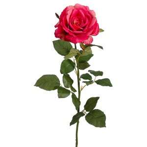   Open Rose Spray Two Tone Cerise (Pack of 12) Patio, Lawn & Garden
