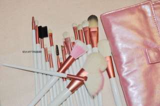 20 Piece Pink Makeup Brush Set, Brush Kit with Case  