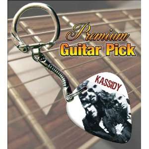  Kassidy Premium Guitar Pick Keyring Musical Instruments