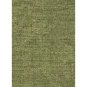  Sample   Leilani Olive Outdoor
