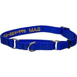   Pet No! Slip Personalized Dog Collar in Blue, 5/8 Width: Pet Supplies