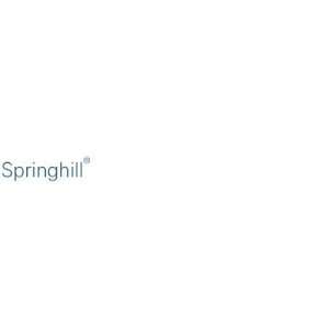  SPRINGHILL 11 X 17 INDEX PAPER 110# WHIT: Office Products