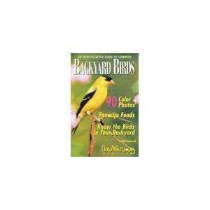  Identification Guide to Common Backyard Birds A Special 