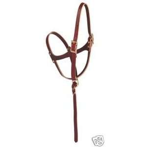  WEAVER LEATHER HALTER FOAL HORSE TACK NO PULL Sports 
