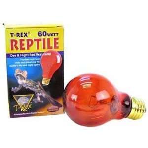  T Rex Inc. 60 Watt A Style Night Red Bulb