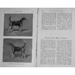  1910 Antique Portrait Dogs Hounds Belvoir Kennel Hunt 