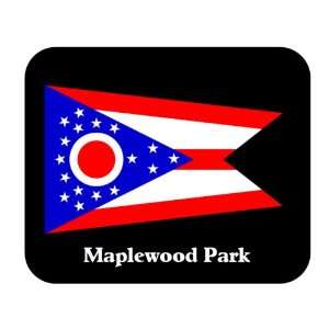  US State Flag   Maplewood Park, Ohio (OH) Mouse Pad 