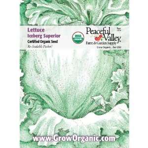  Organic Lettuce Seed Pack, Iceberg Superior Patio, Lawn & Garden