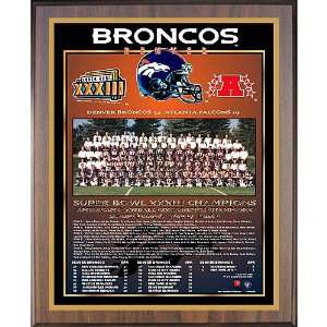  Healy Denver Broncos Super Bowl Xxxiii Champions 13X16 