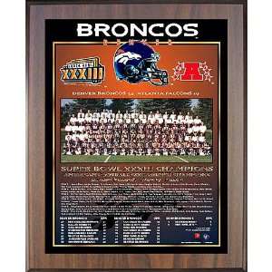 Healy Denver Broncos Super Bowl Xxxiii Champions 11X13 Team Picture 