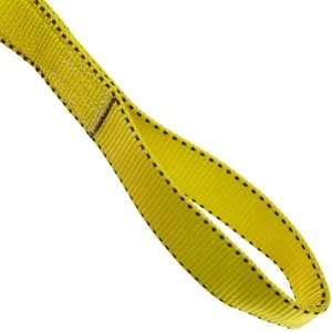Liftex EE Nylon Web Sling, Eye and Eye, Yellow, 2 Ply, 12 Length, 2 