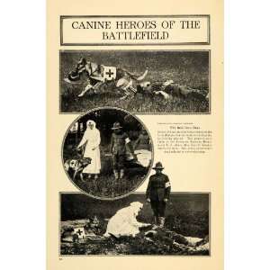  1917 Print German Shepherd Rescue Dogs Red Cross WWI 