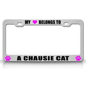 MY HEART BELONGS TO A CHAUSIE Cat Pet Steel Metal Auto License Plate 