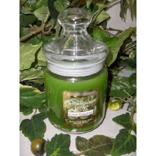  Green Tomatoes Scented Apothecary Glass Jar Wax Candle 9.5 
