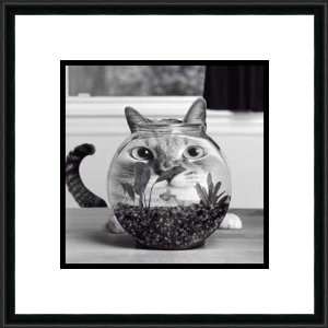  Cat Fish by Cydney Conger   Framed Artwork: Home 