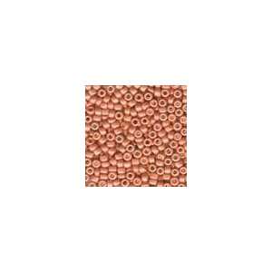  Satin Coral Antique Seed Beads: Arts, Crafts & Sewing