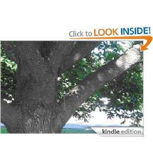 Mr. Morrison Climbs a Tree Beth Durkee  Kindle Store