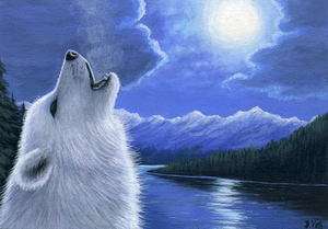 White wolf moon lake limited edition aceo print art  