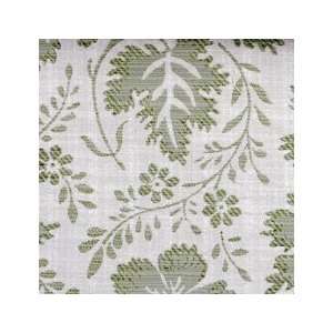   Leaf/foliage/vi Natural/green by Duralee Fabric: Arts, Crafts & Sewing