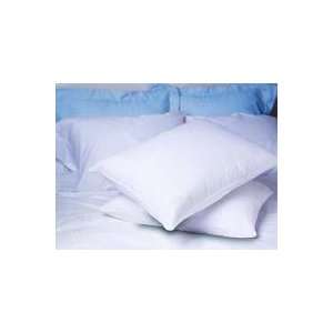 Allergy Free Pillow/Standard 