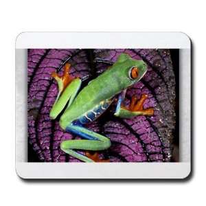   (Mouse Pad) Red Eyed Tree Frog on Purple Leaf: Everything Else