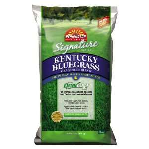   Series Kentucky Bluegrass Blend 118709