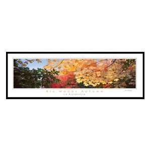   Jim Brandedburg Big Woods Autumn Print   Framed