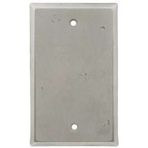  Cast Bronze Blank Switch Plate With Distressed Finish in 