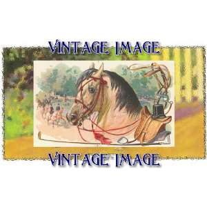   5cm) Acrylic Fridge Magnet Horses Horse Vintage Image: Home & Kitchen