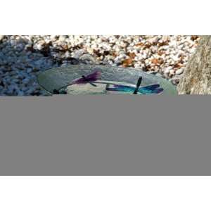  Glass Bird Bath Dragonfly: Patio, Lawn & Garden