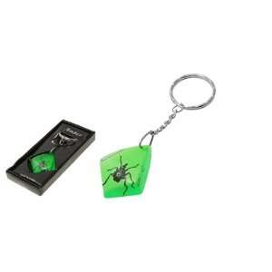  Como Spider Insect Amber Style Ornament Green Key Chain 