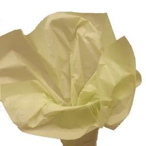  Celery Wrap Tissue Paper 20 X 30   48 Sheets Health 