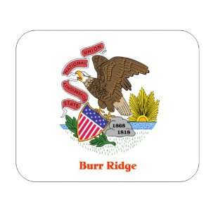  US State Flag   Burr Ridge, Illinois (IL) Mouse Pad 