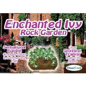  DDI Enchanted Ivy Rock Garden Case Pack 6 